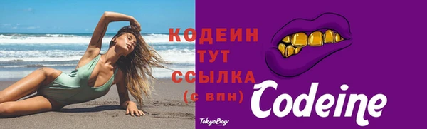 2c-b Гусев