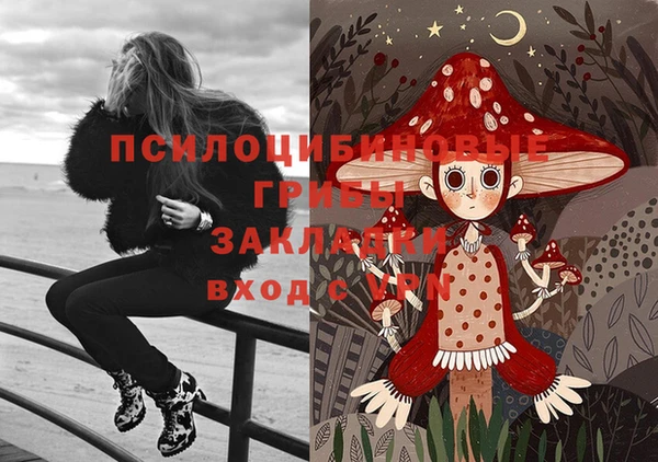 2c-b Гусев