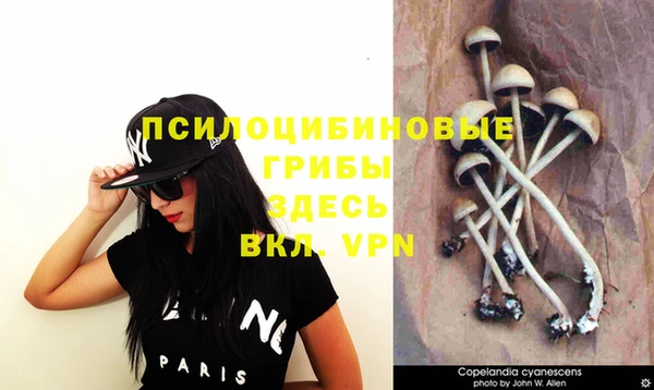 ECSTASY Гусиноозёрск