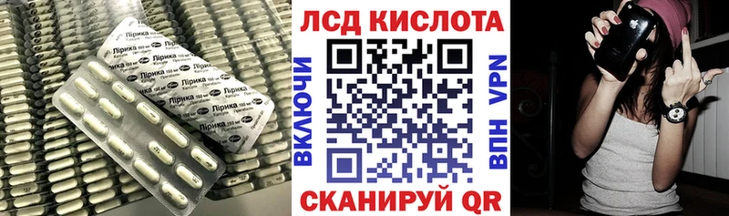 дарнет шоп  Боготол  Лсд 25 экстази ecstasy 