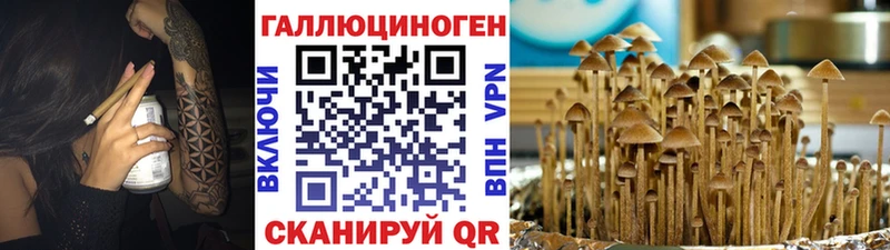 Псилоцибиновые грибы мухоморы  где купить   Боготол 