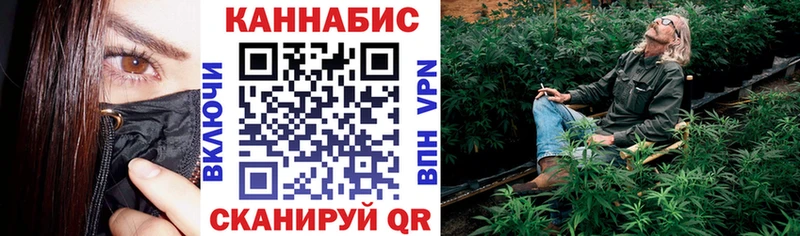 darknet состав  Боготол  Шишки марихуана сатива 